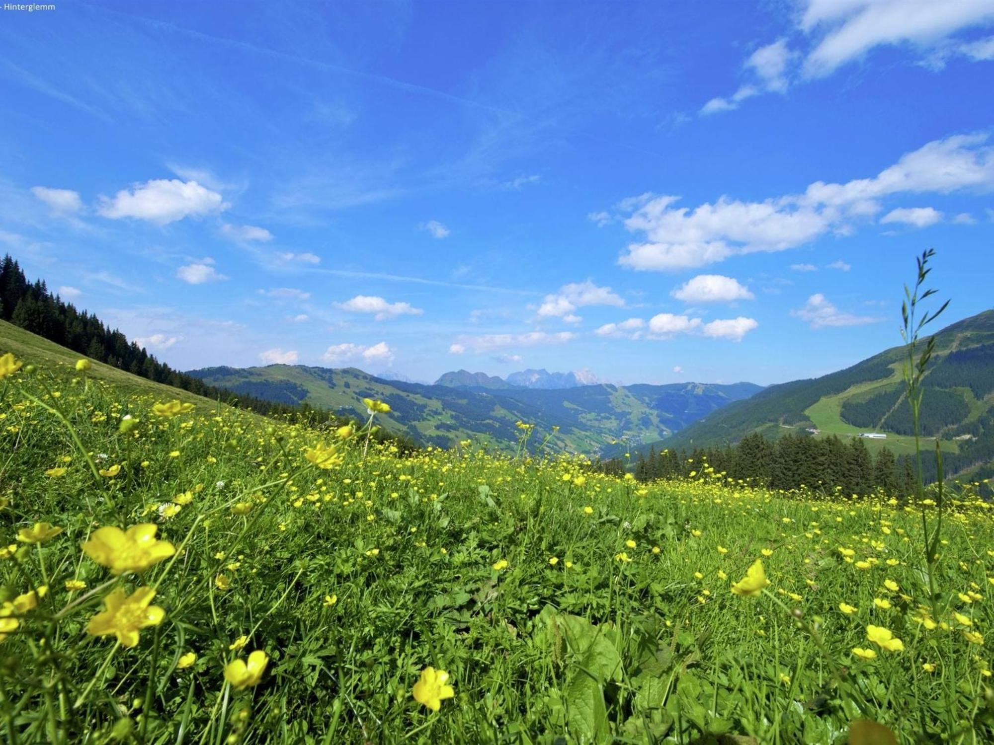 Large Chalet Apartment In Saalbach Hinterglemm Bagian luar foto